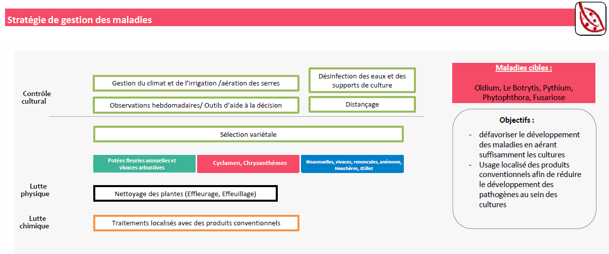 Stratégie de gestions des maladies