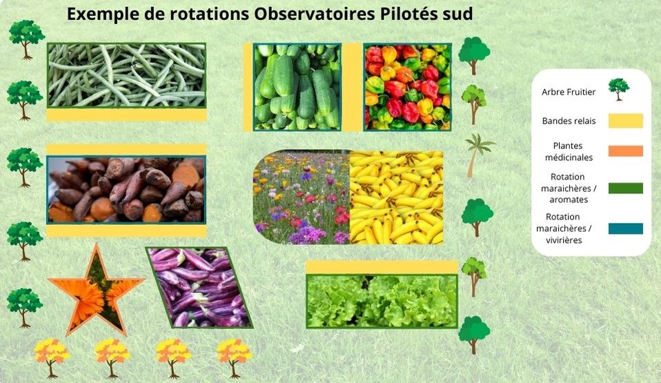 schéma photographique d'une parcelle agricole découpée en différentes sous unités, quadrillée de bandes relais internes et externes. 