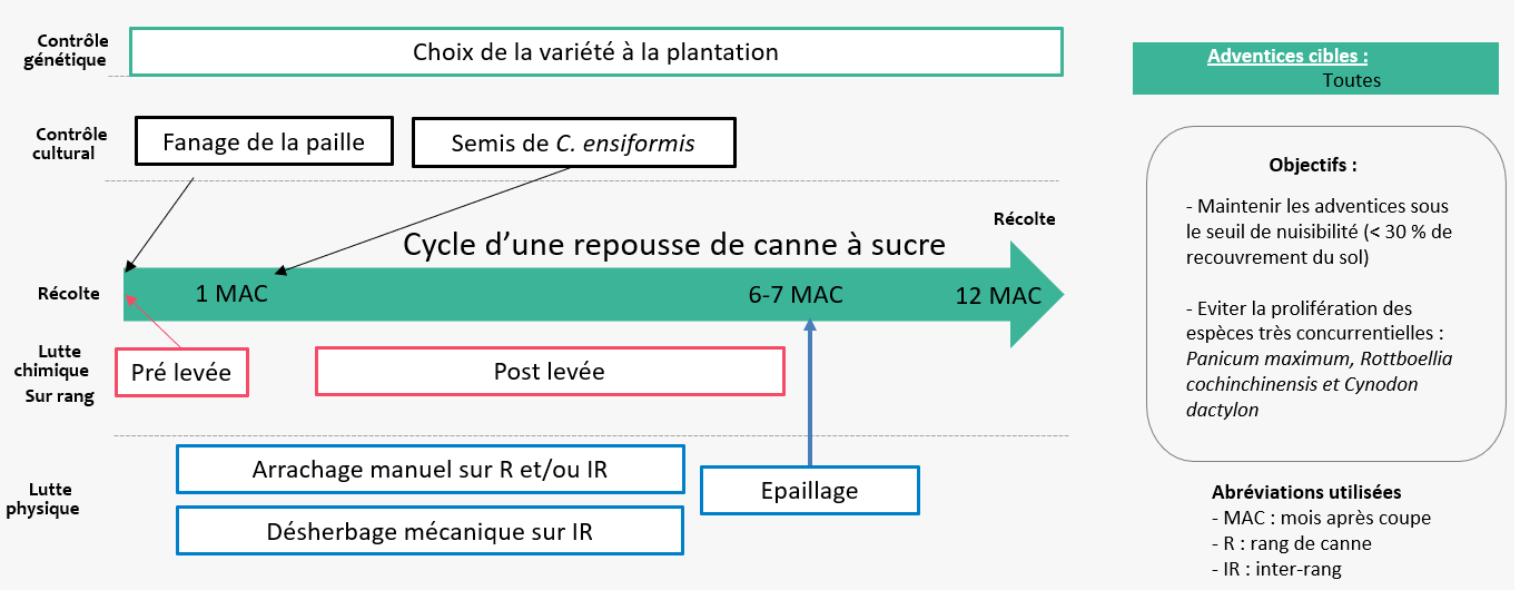 Schéma décisionnel adventices