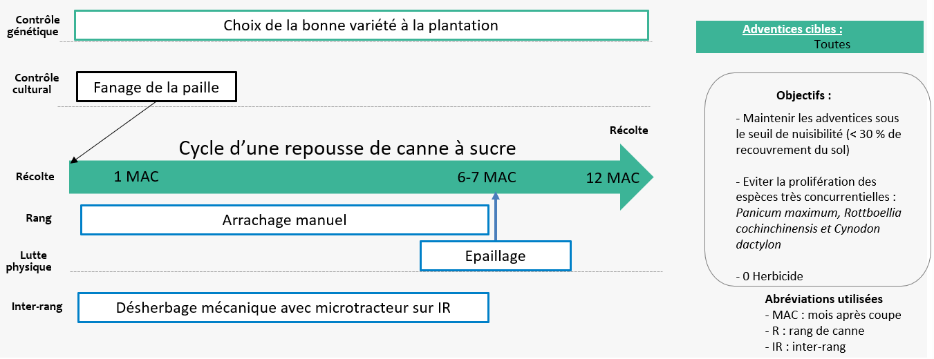 Schéma décisionnel adventices