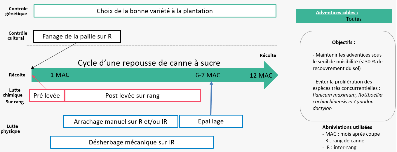 Schéma décisionnel adventices