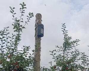 Gite à chauve-souris