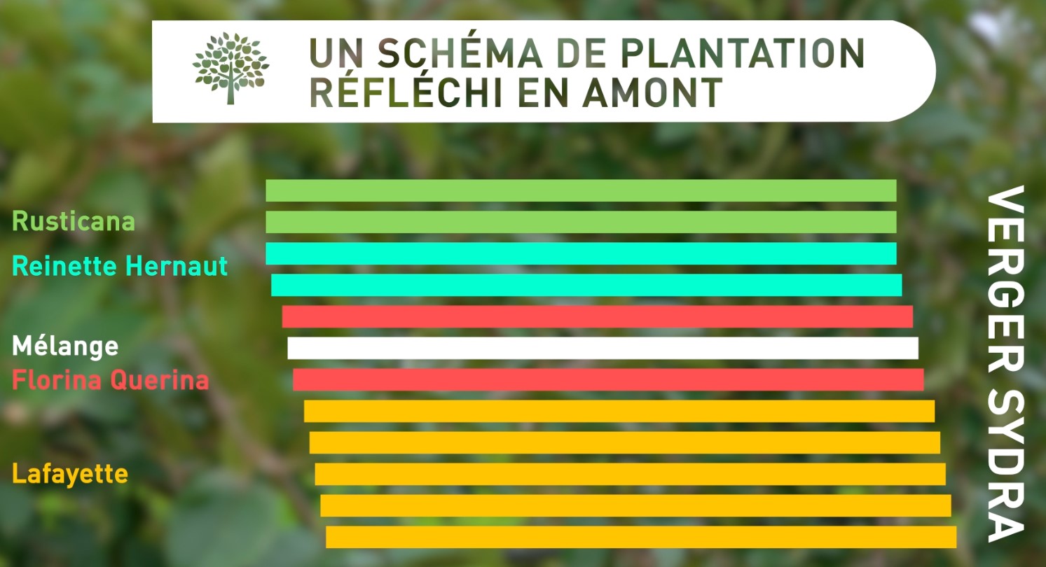 Plan Parcelle