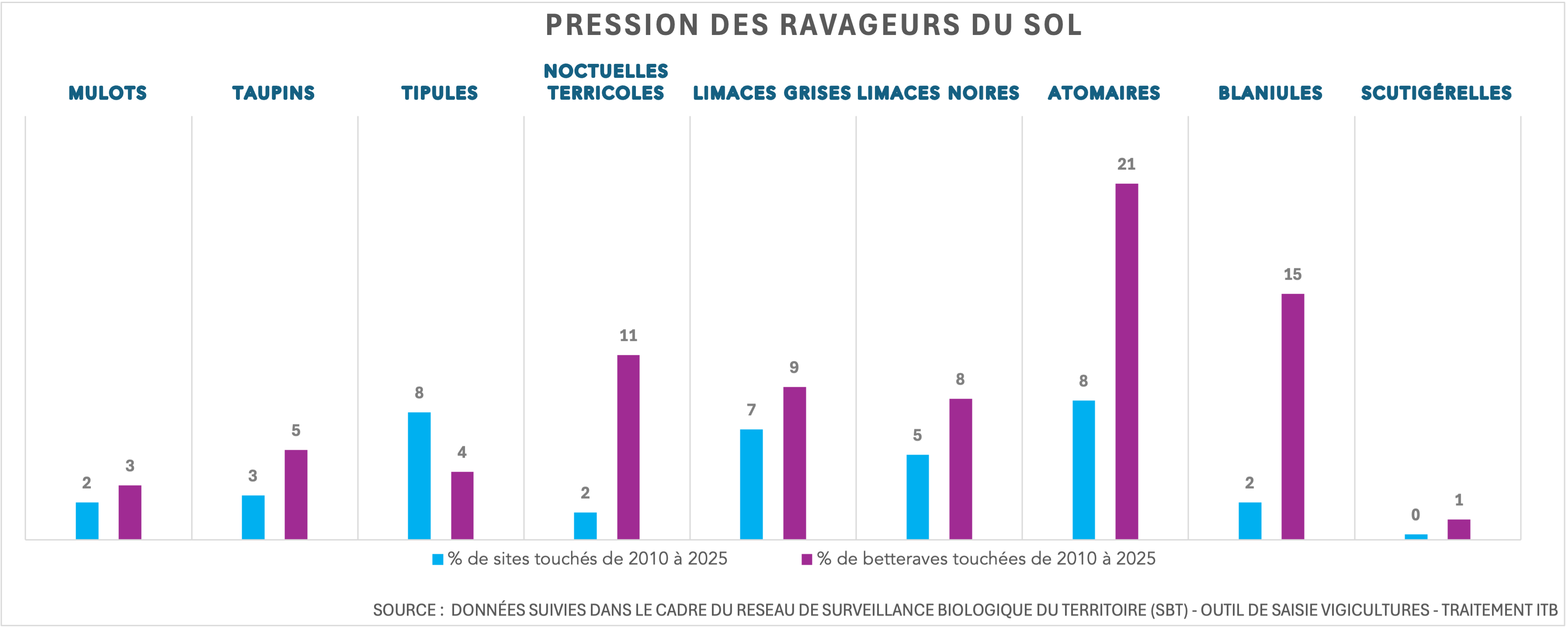 Pression ravageurs du sol