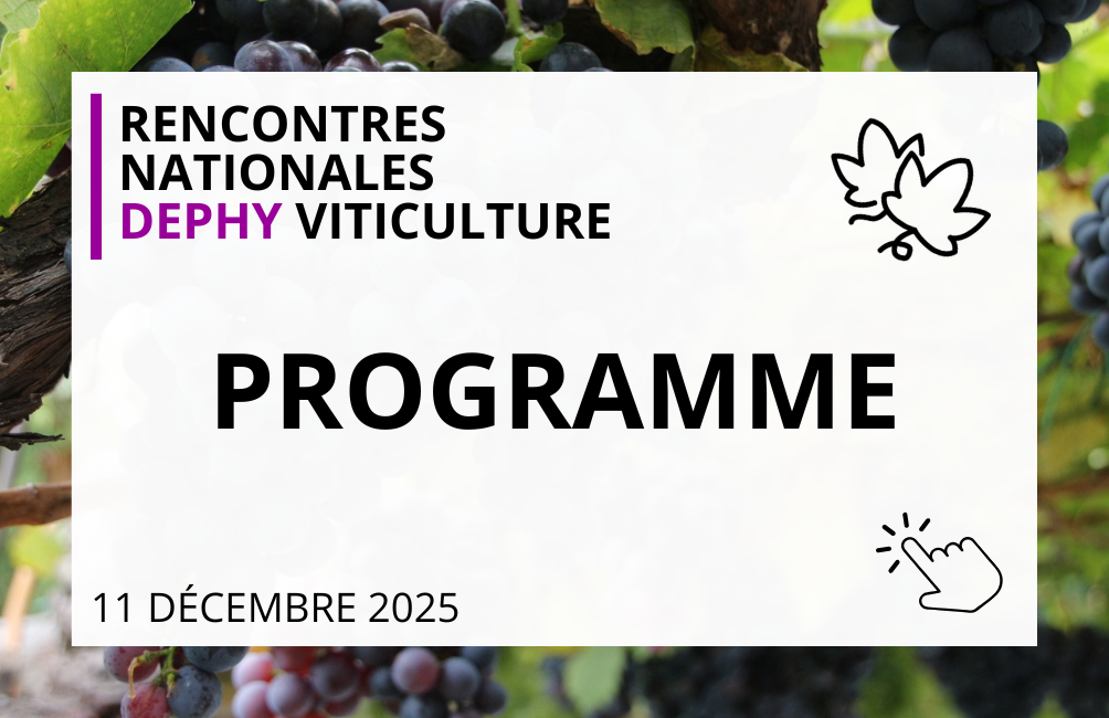 Etiquette programme colloque viticulture Montpellier