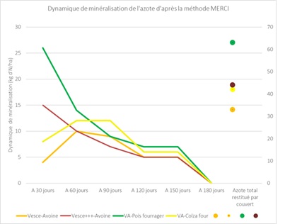 Dynamique de minéralisation de l'azote