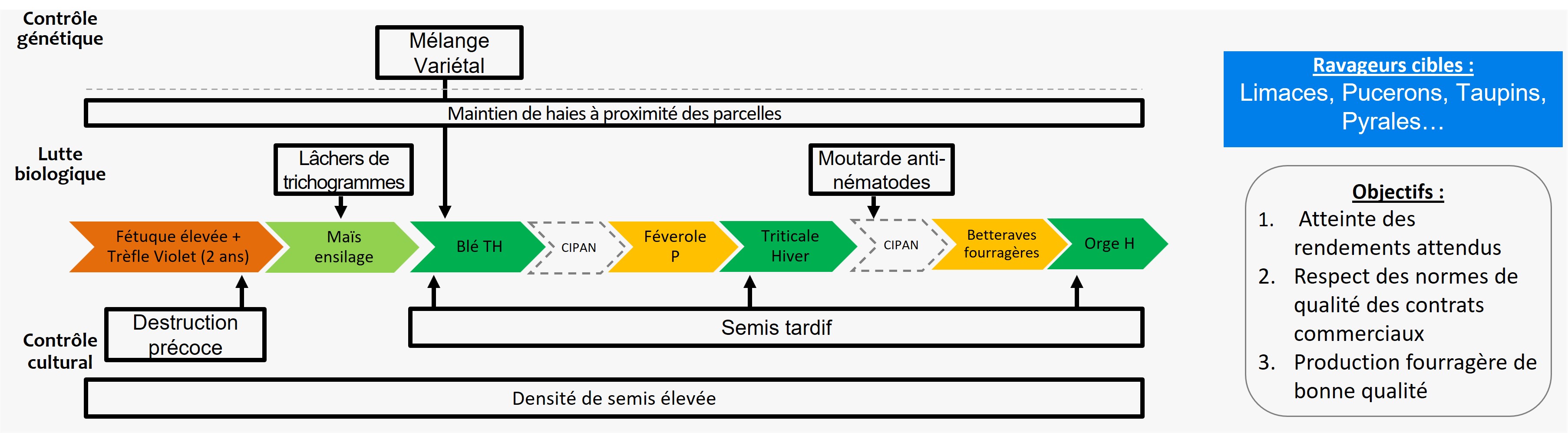 Schéma décisionnel simplifié de gestion des ravageurs dans le système de culture Rés0Pest du Rheu