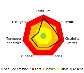 Graphique niveaux de pression ravageurs