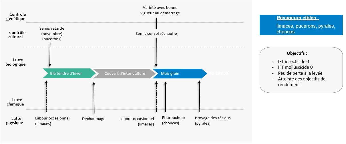 Schema decisionnel gestion des ravageurs