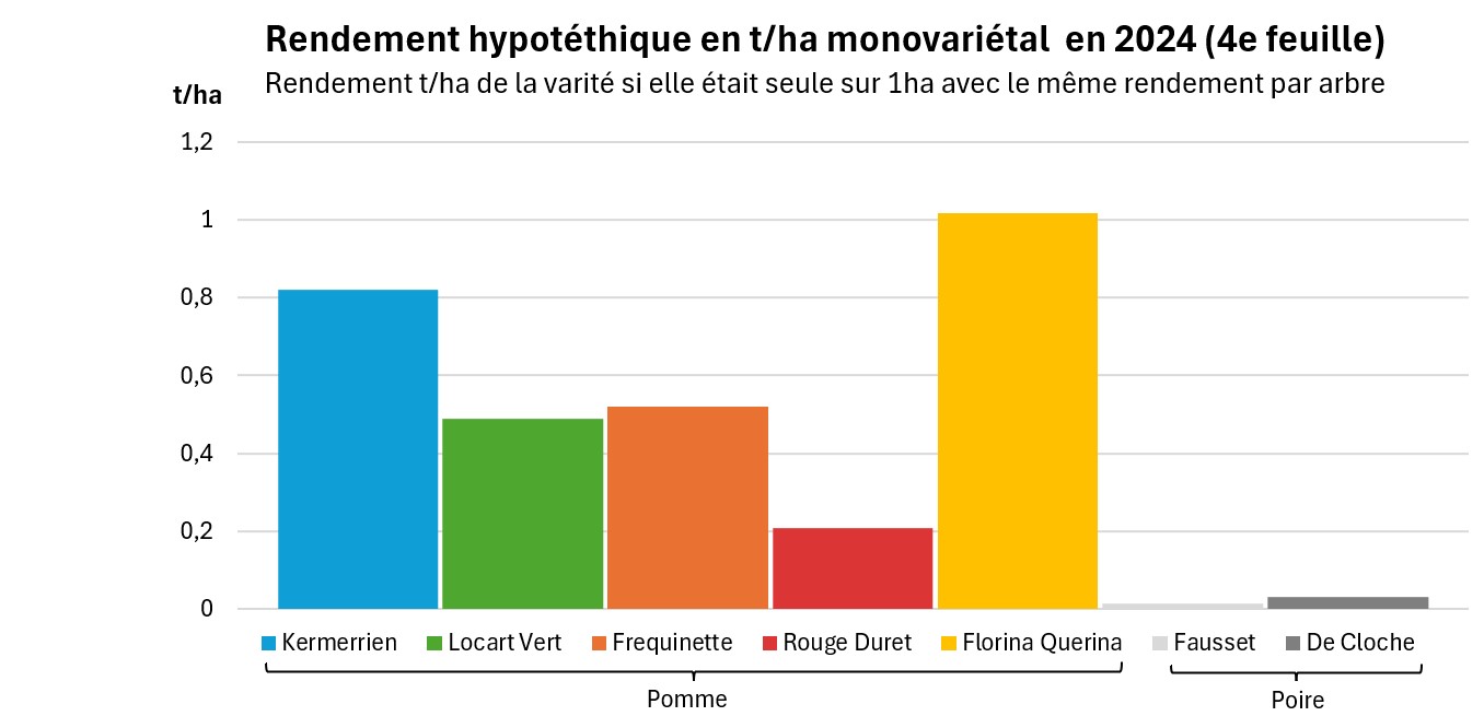 Rendement par variété