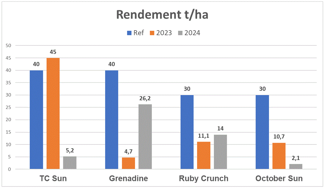 Rendement