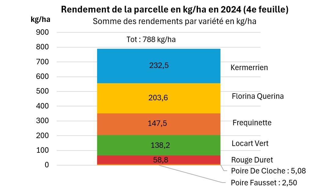 Rendement