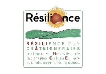 Résiliance