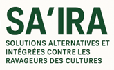 SAIRA