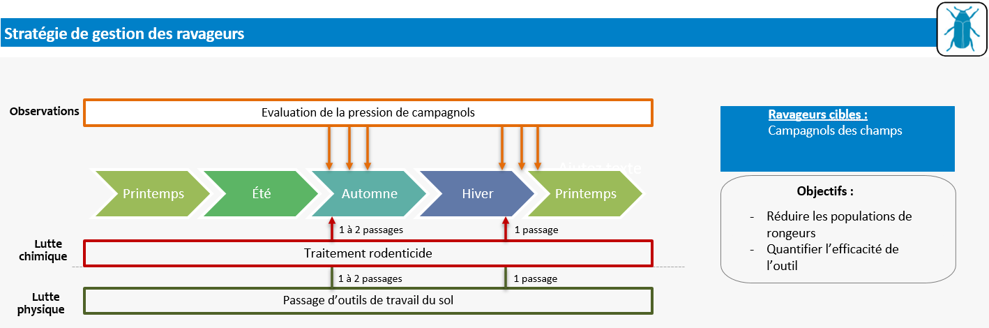 Schéma décisionnel
