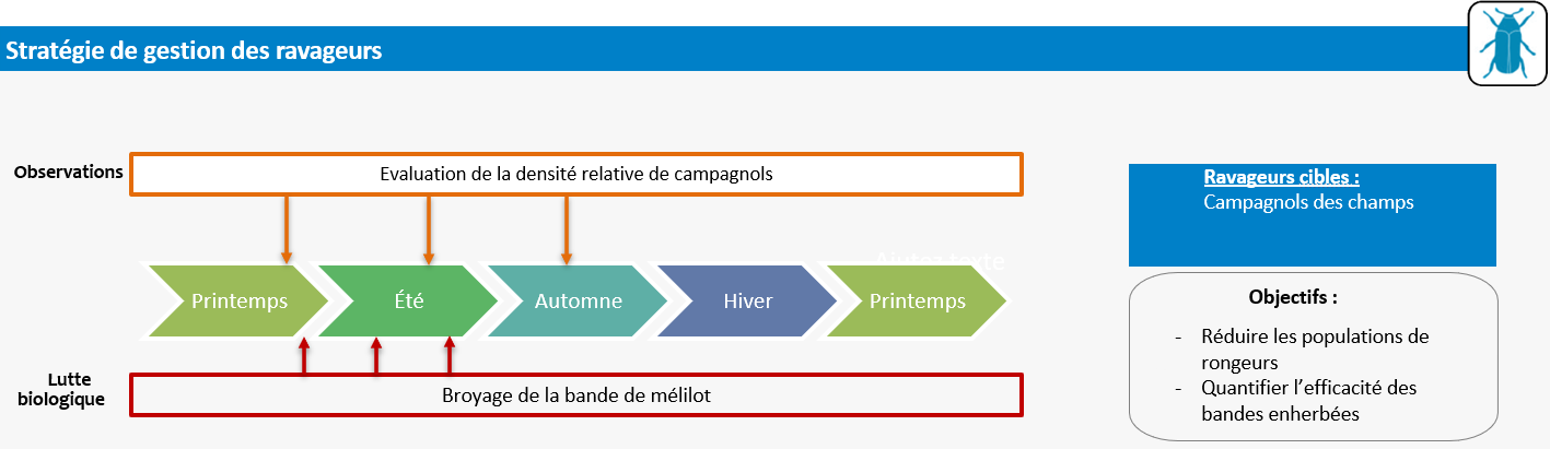 Schéma décisionnel