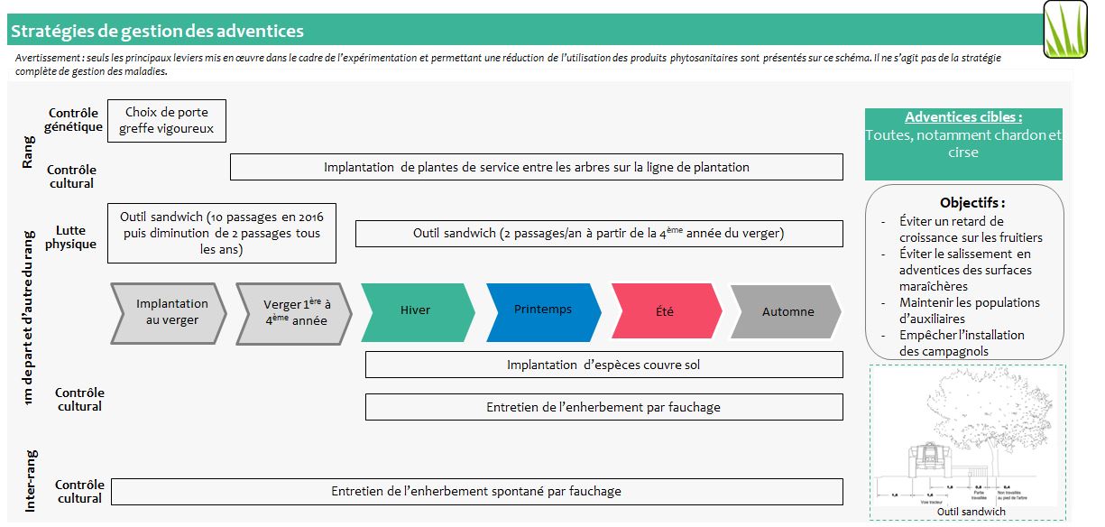 Schéma décisionnel adventices Arboriculture