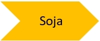 Soja