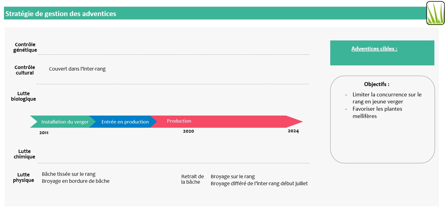 Schéma décisionnel stratégie de gestion des adventices