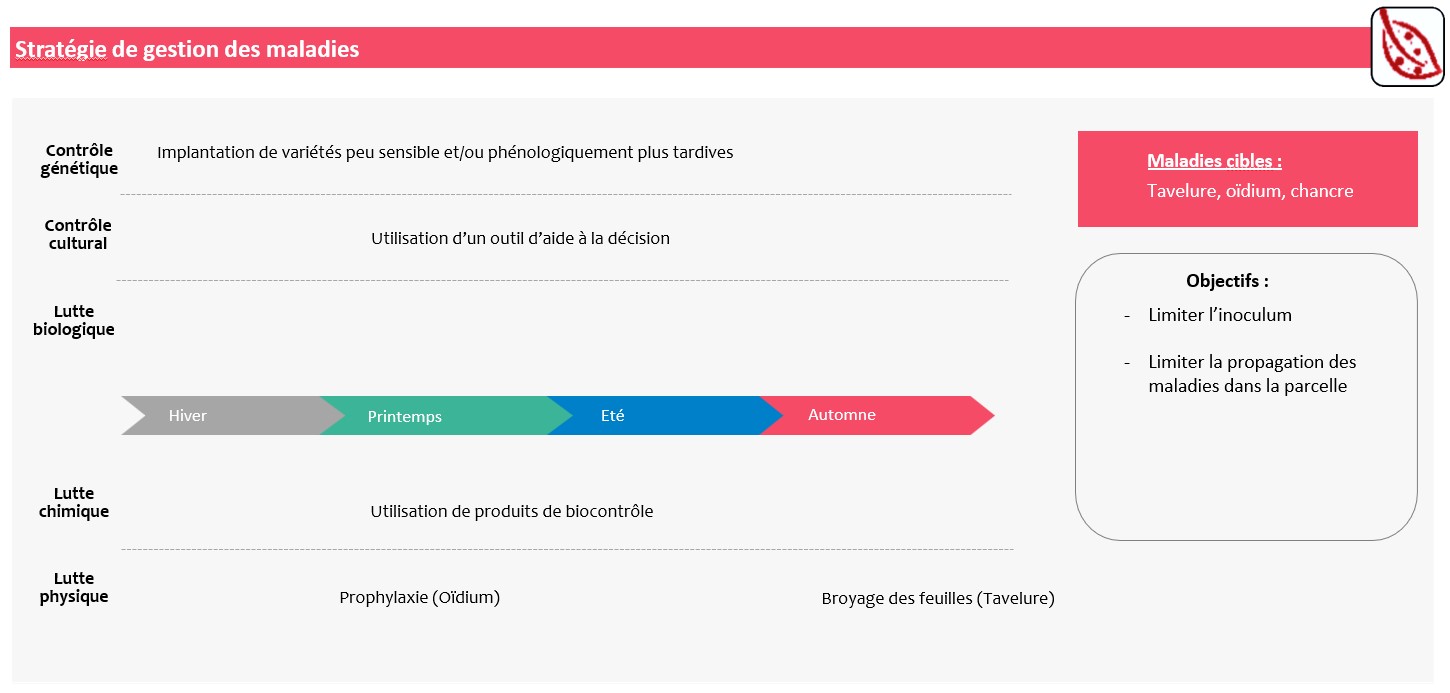 Schéma décisionnel stratégie de gestion des maladies