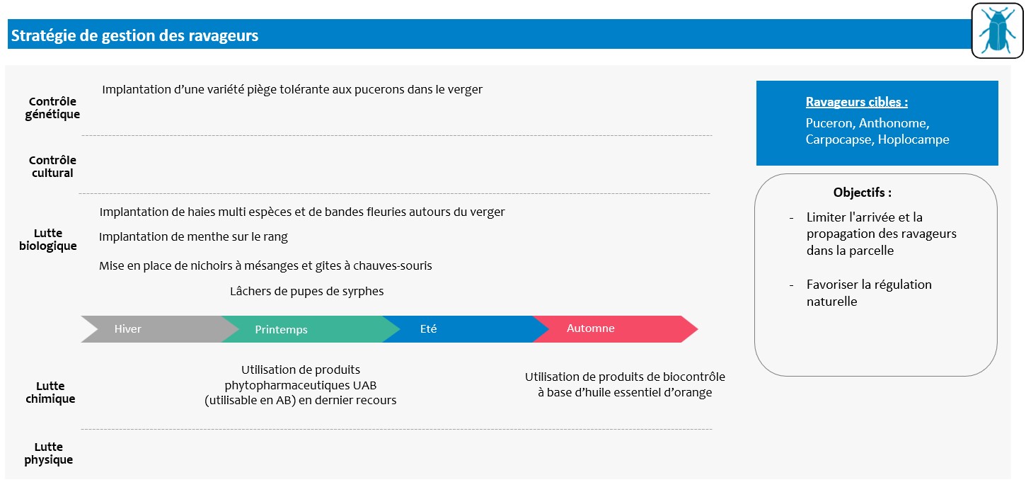 Schéma décisionnel stratégie de gestion des ravageurs