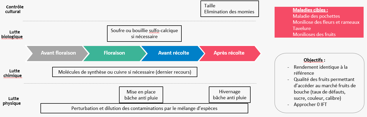 Stratégie maladies