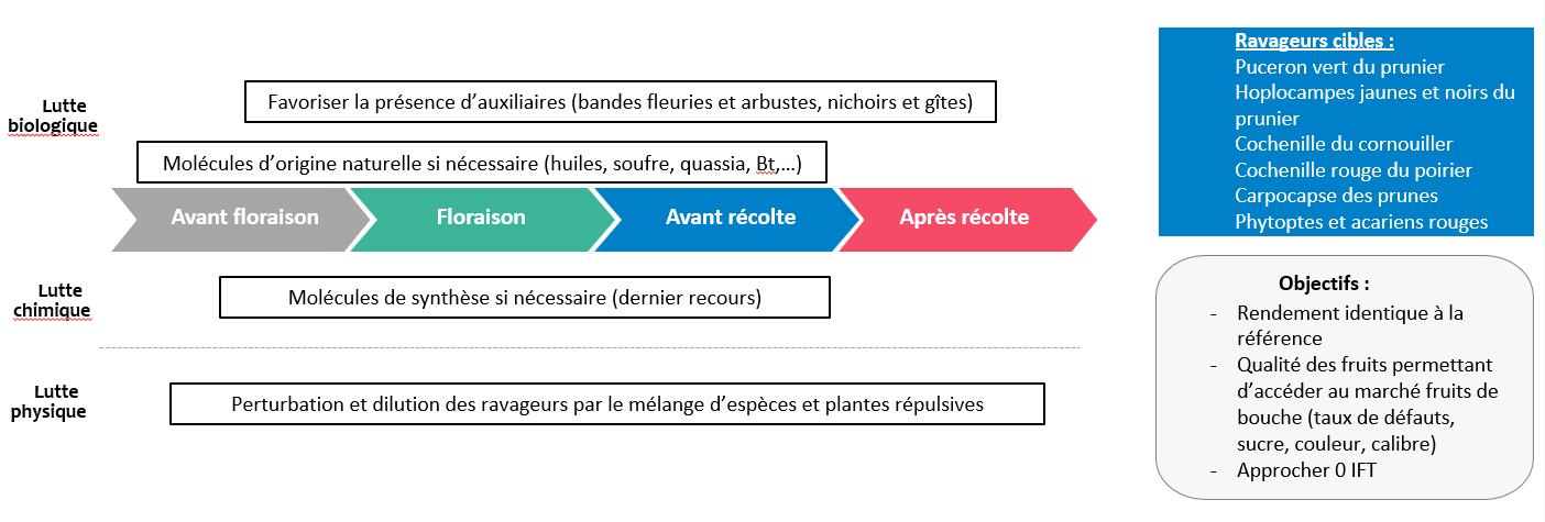Stratégie ravageurs