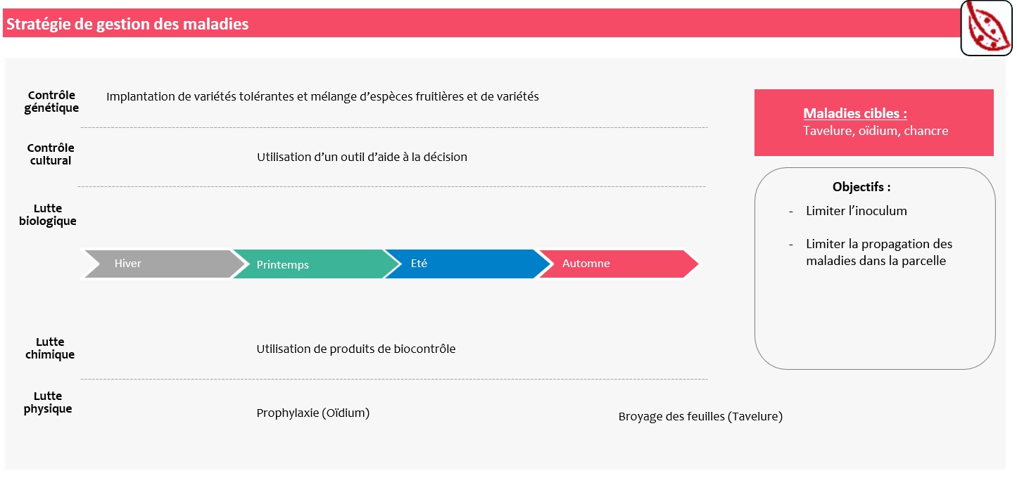 Schéma décisionnel stratégie de gestion des maladies