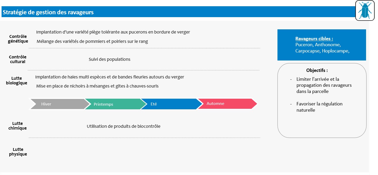 Schéma décisionnel stratégie de gestion des ravageurs