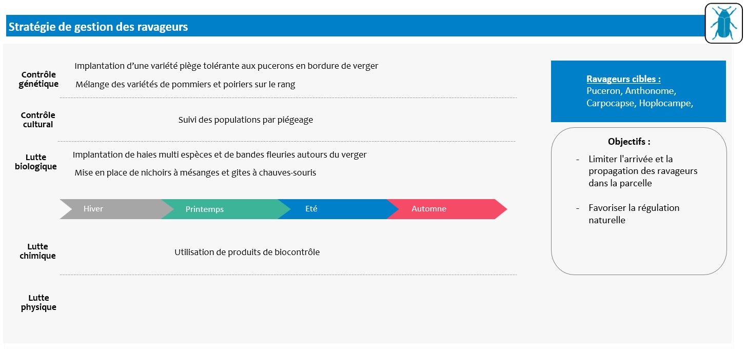 Schéma décisionnel stratégie de gestion des ravageurs