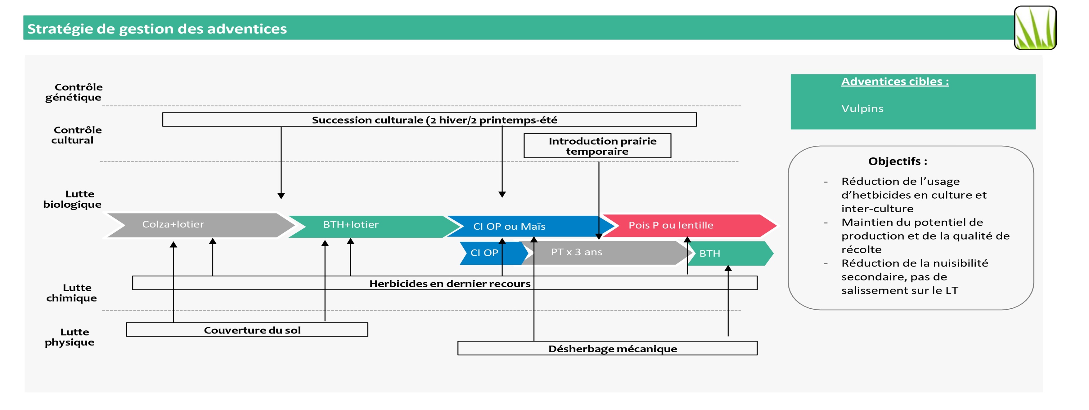 Schéma stratégie de gestion des adventices