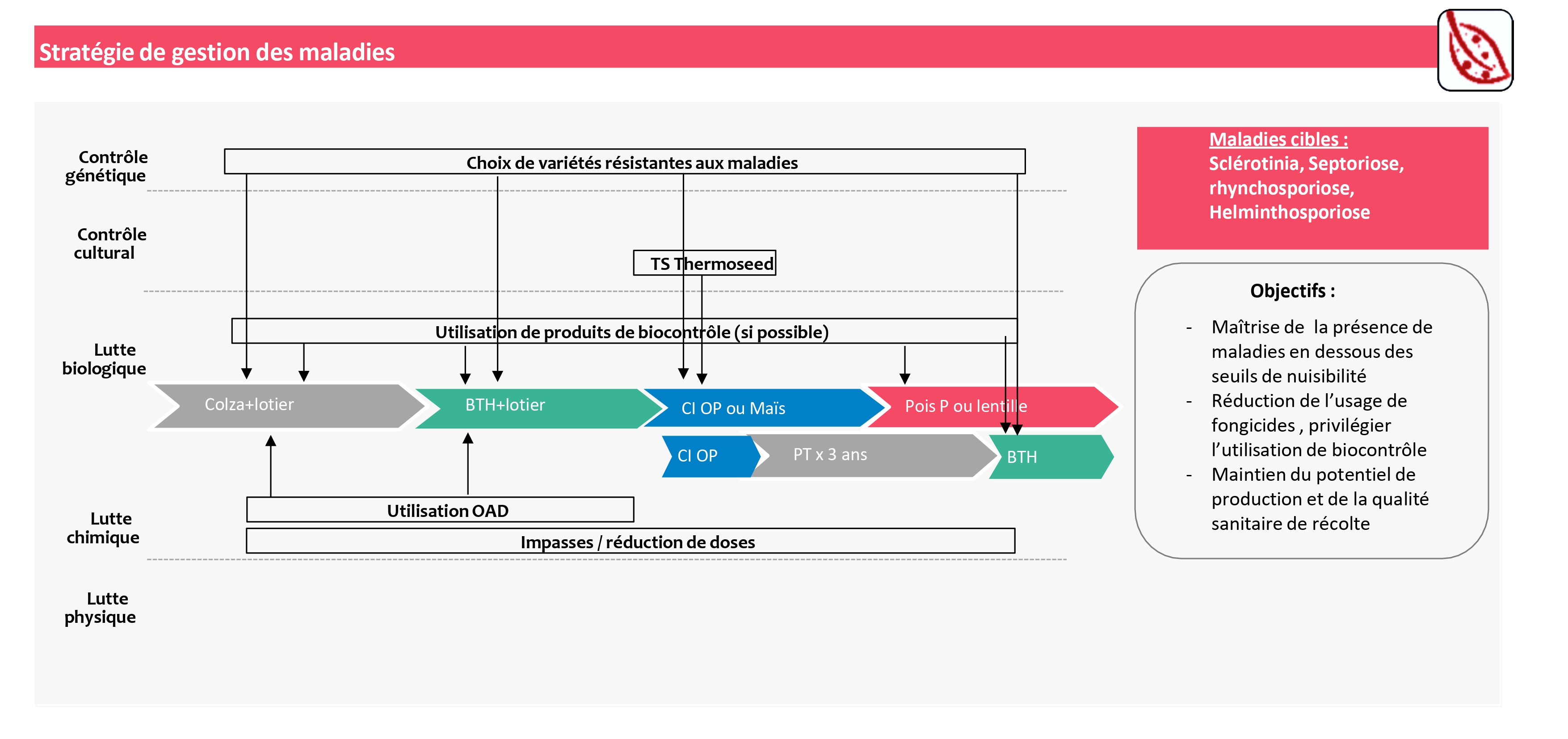 Schéma stratégie de gestion des maladies