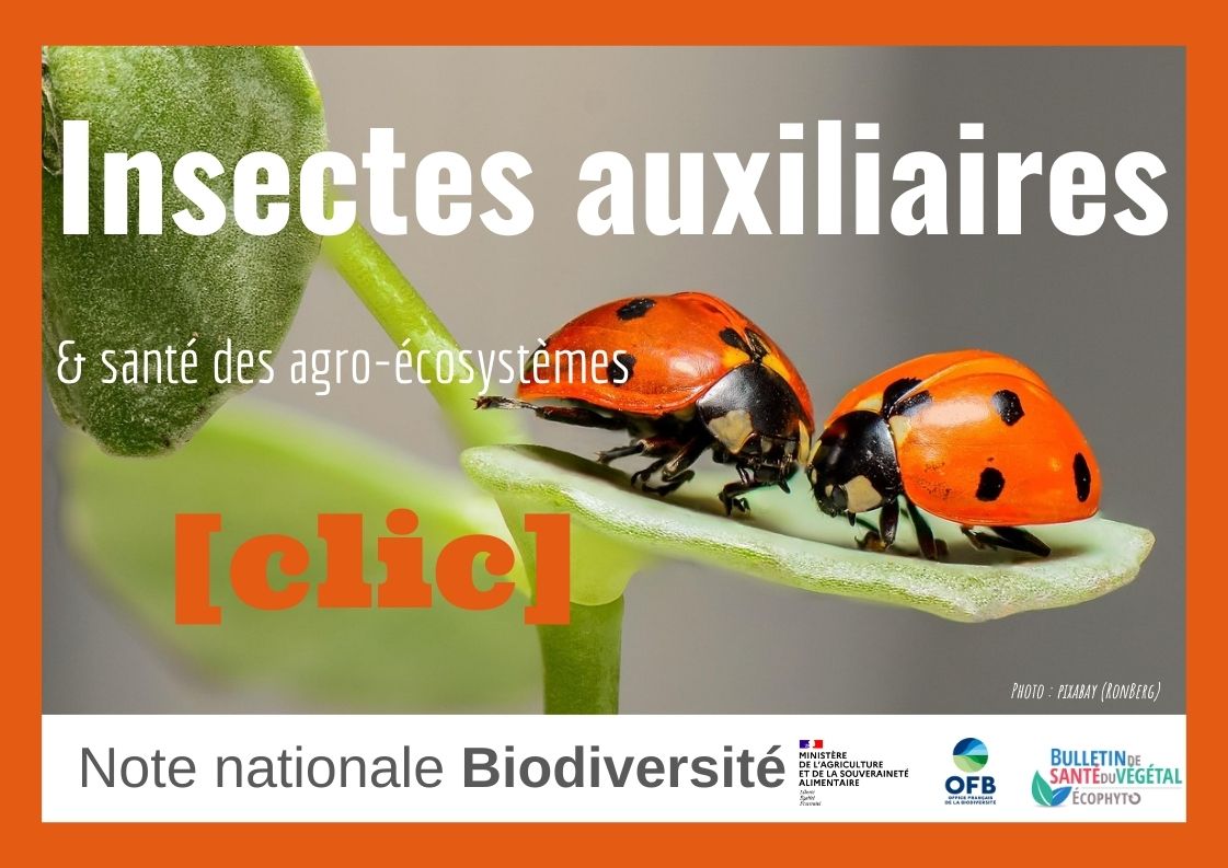 note biodiv auxiliaire