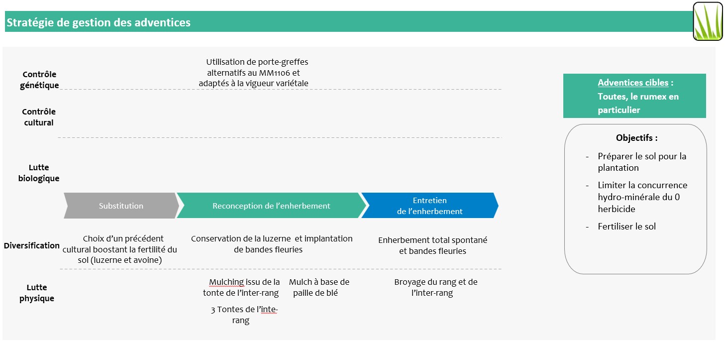 Schéma décisionnel stratégie de gestion des adventices