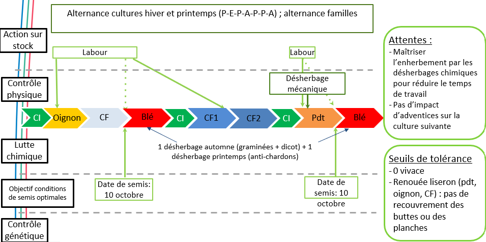 Schéma décisionnel de gestion des adventices