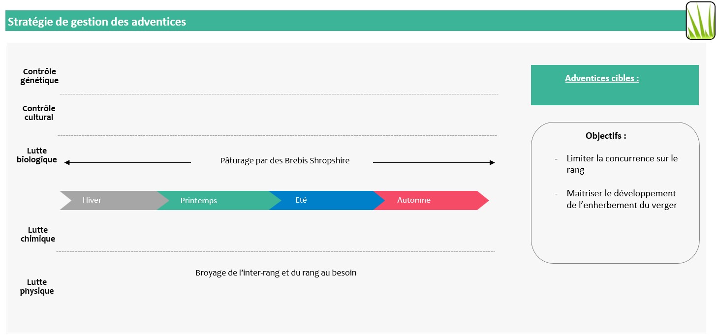 Schéma décisionnel stratégie de gestion des adventices