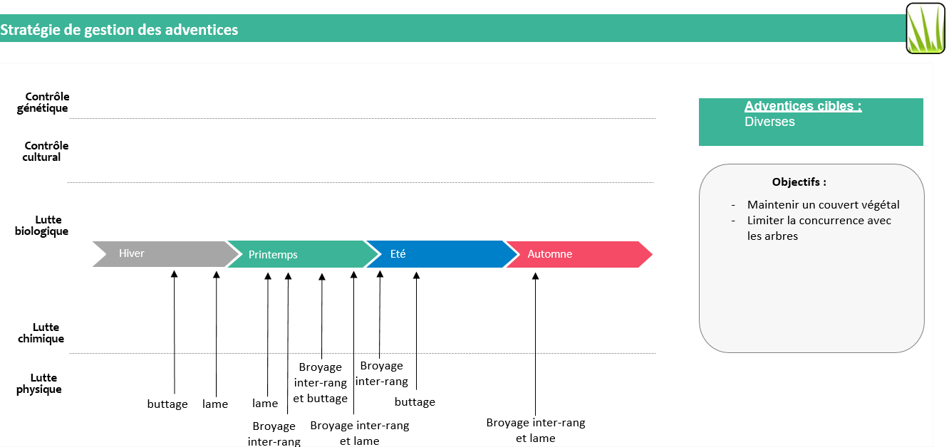 présentation de la gestion des adventices : pas de traitement chimique, seulement 4 à 5 broyages inter-rang