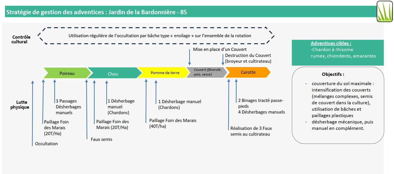 adventices bardonnière