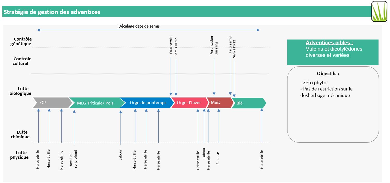 Stratégie de gestion des adventices