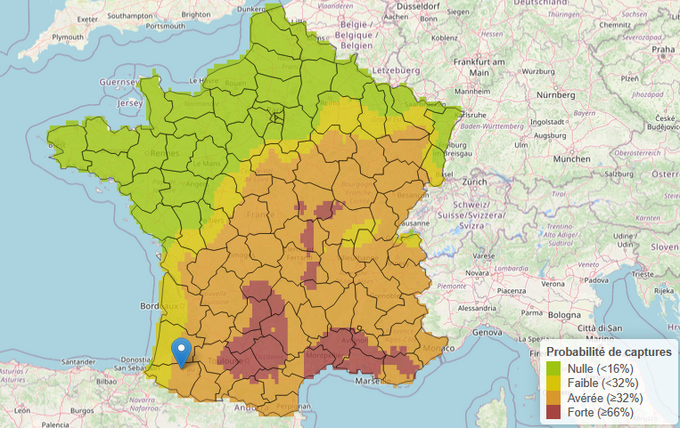 OAD prédictions des vols de charançons - crédit photo Terres Inovia