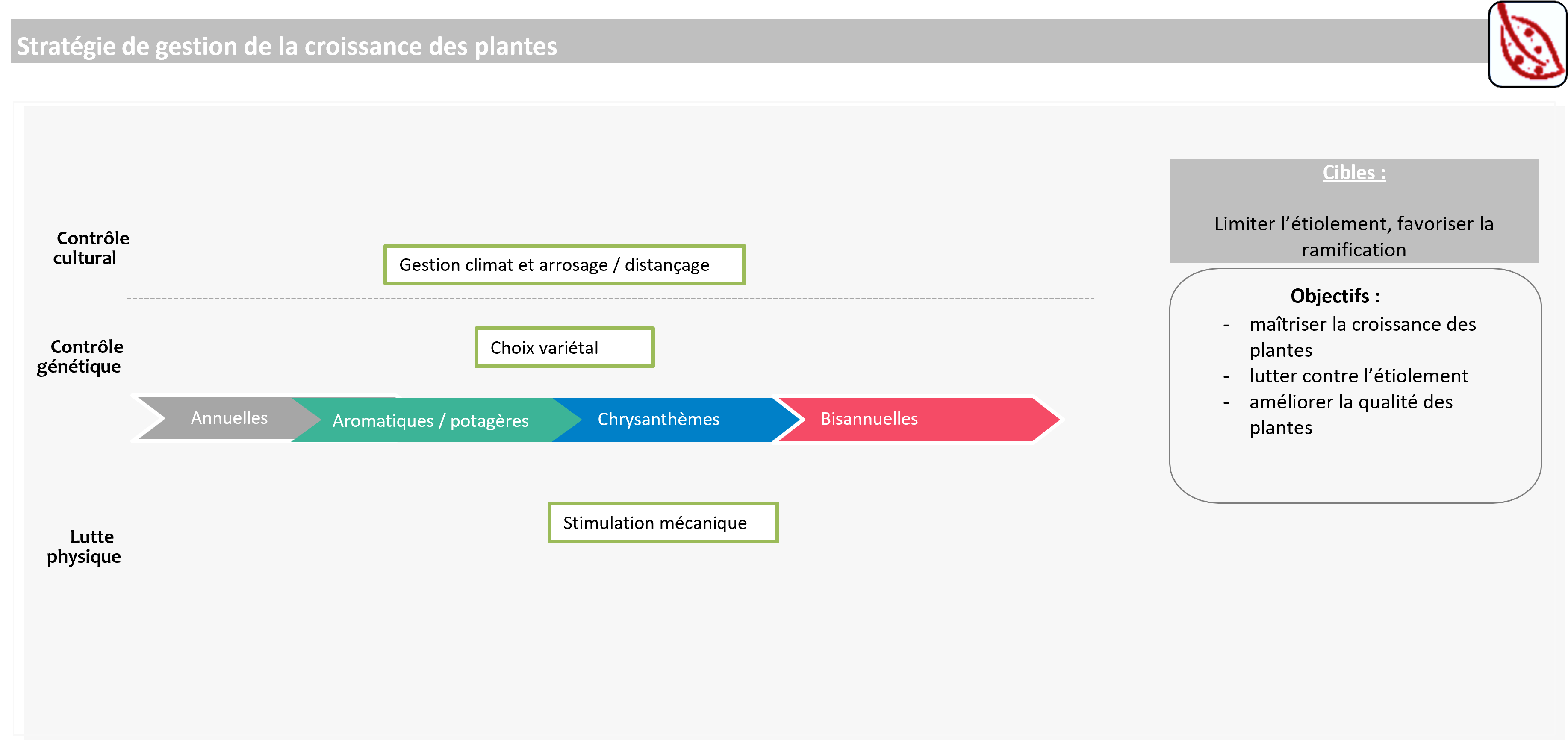 schéma décisionnel croissance des plantes