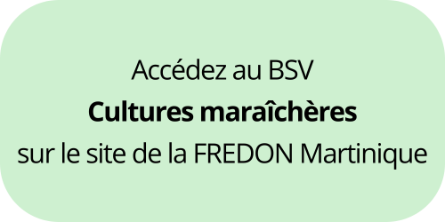 Cultures maraîchères Martinique