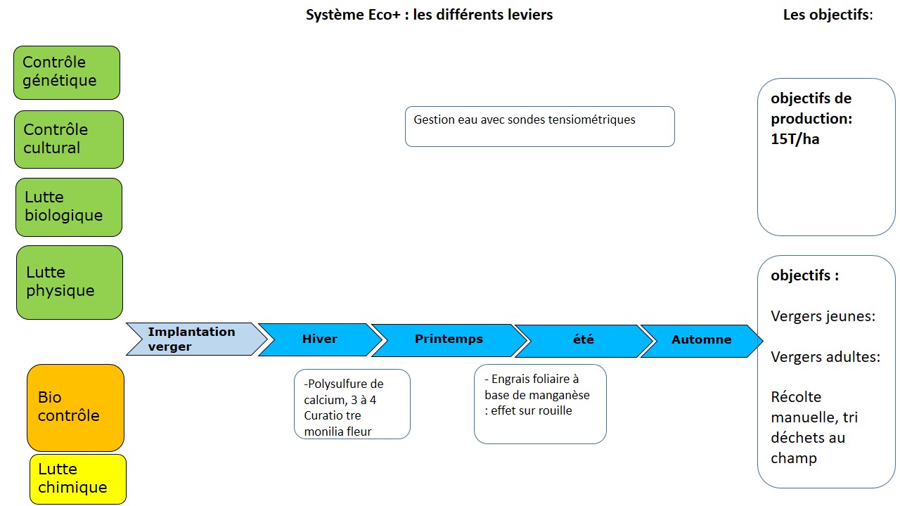 schéma de gestion des maladies en Eco+