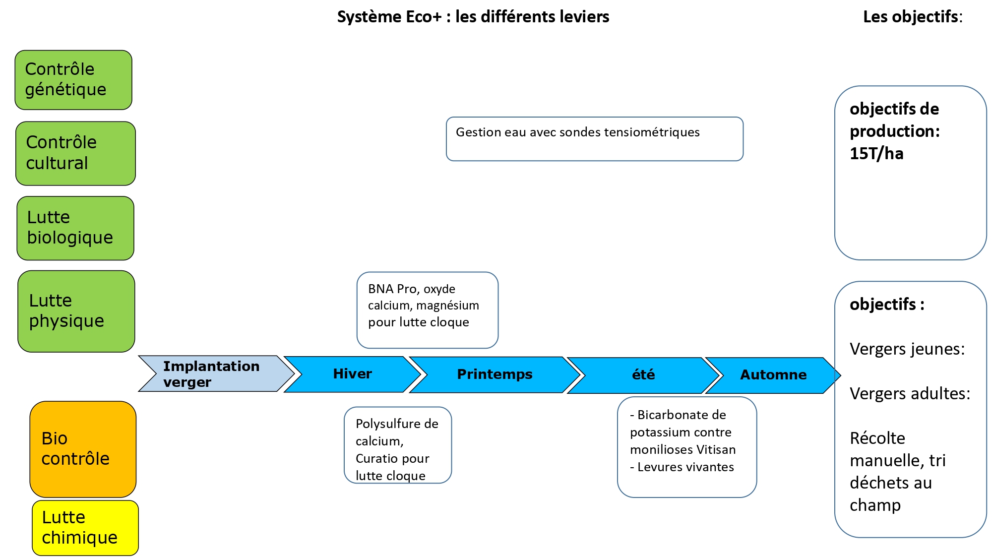 schéma décisionnel maladies Eco+