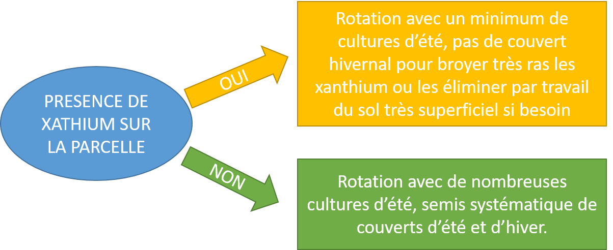 decisionnel