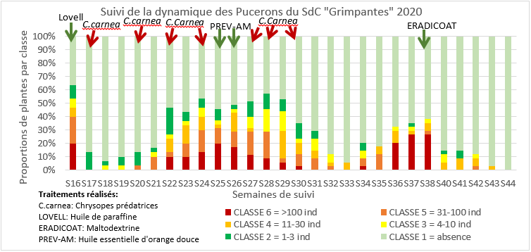 dynamique