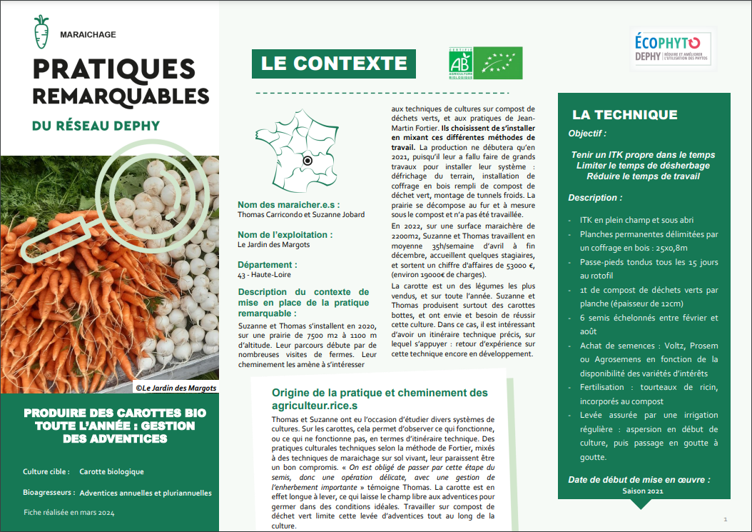 fiche pratique remarquable : 	Produire des carottes bottes bio toute l’année sur compost de déchets verts