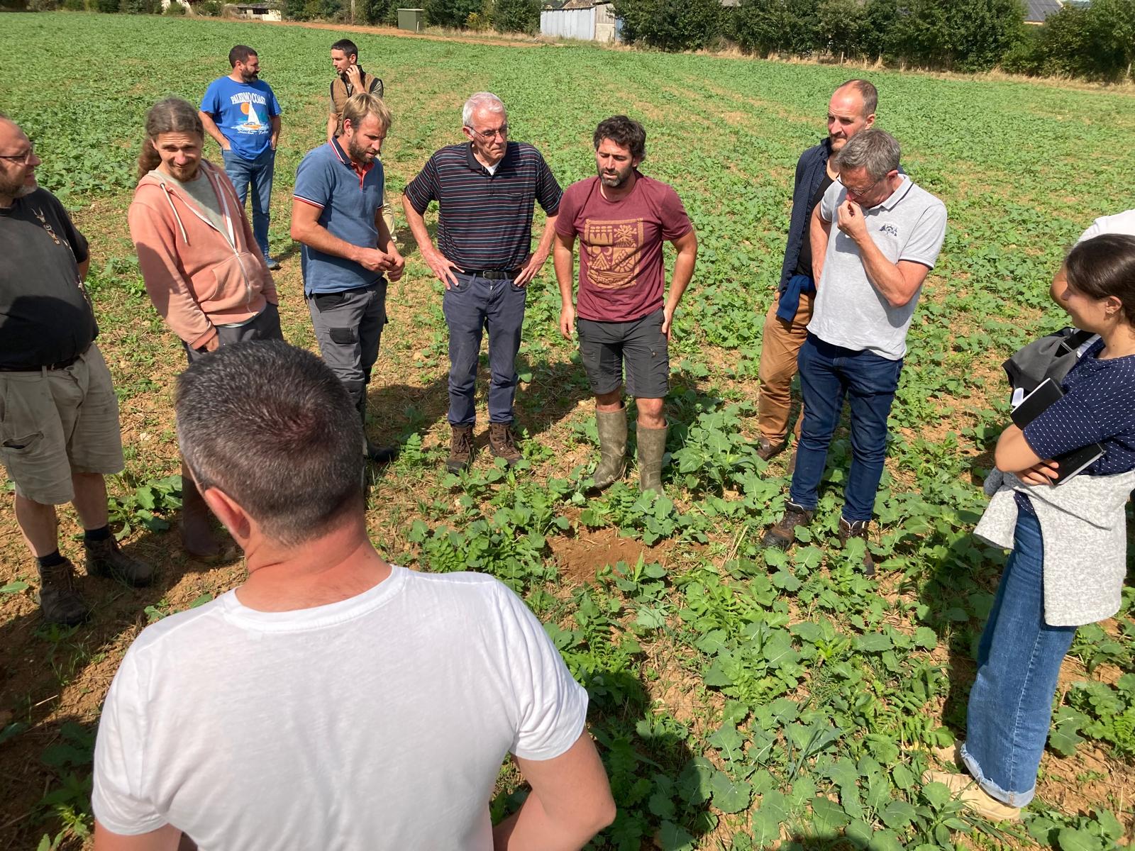 groupe en tour de plaine 2024