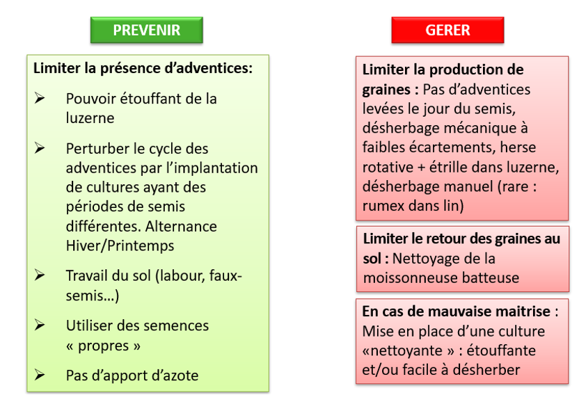 Gestion des adventices