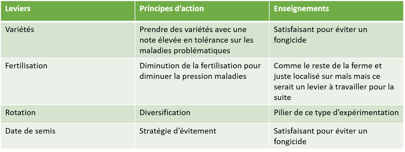 Gestion des maladies sur la rotation